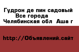 Гудрон де пин садовый - Все города  »    . Челябинская обл.,Аша г.